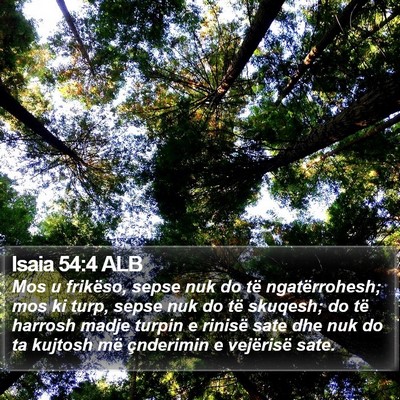 Isaia 54:4 ALB Bible Verse Image