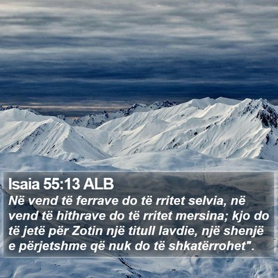 Isaia 55:13 ALB Bible Verse Image