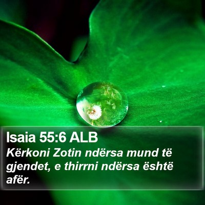 Isaia 55:6 ALB Bible Verse Image