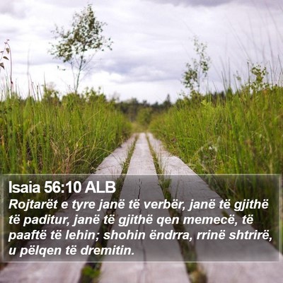 Isaia 56:10 ALB Bible Verse Image