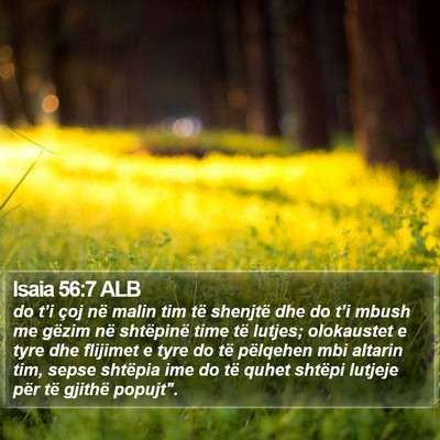 Isaia 56:7 ALB Bible Verse Image