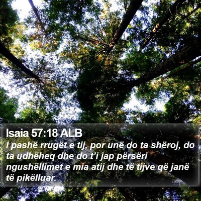 Isaia 57:18 ALB Bible Verse Image