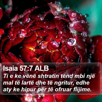 Isaia 57:7 ALB Bible Verse Image