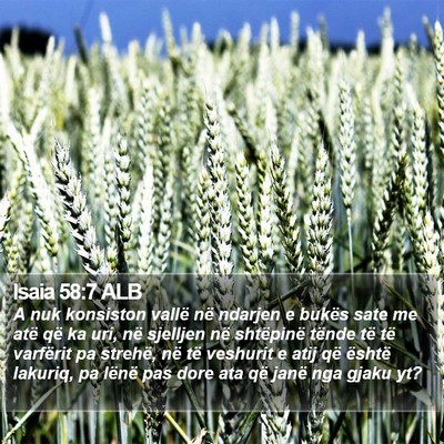 Isaia 58:7 ALB Bible Verse Image