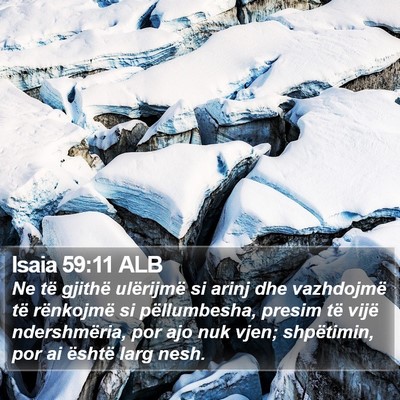 Isaia 59:11 ALB Bible Verse Image