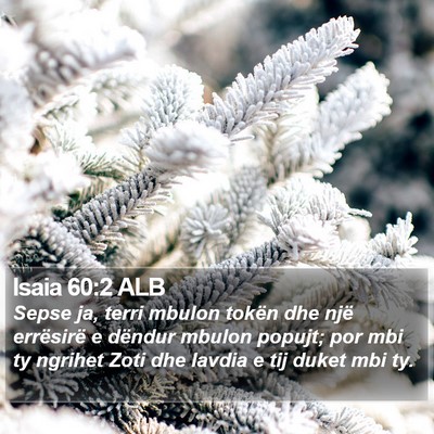 Isaia 60:2 ALB Bible Verse Image