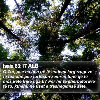 Isaia 63:17 ALB Bible Verse Image