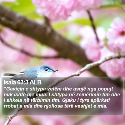 Isaia 63:3 ALB Bible Verse Image