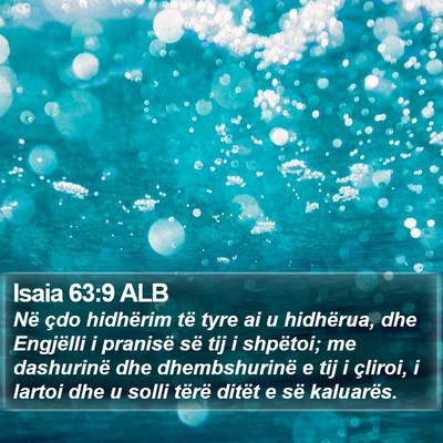 Isaia 63:9 ALB Bible Verse Image