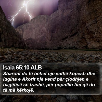 Isaia 65:10 ALB Bible Verse Image