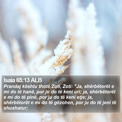 Isaia 65:13 ALB Bible Verse Image