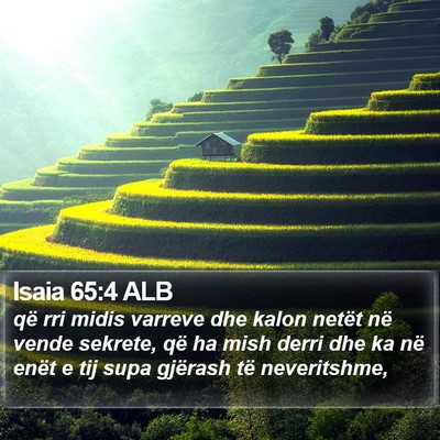Isaia 65:4 ALB Bible Verse Image