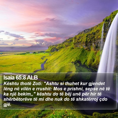 Isaia 65:8 ALB Bible Verse Image