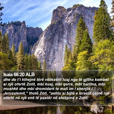 Isaia 66:20 ALB Bible Verse Image