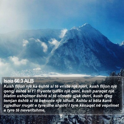 Isaia 66:3 ALB Bible Verse Image