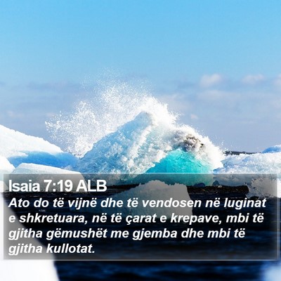 Isaia 7:19 ALB Bible Verse Image