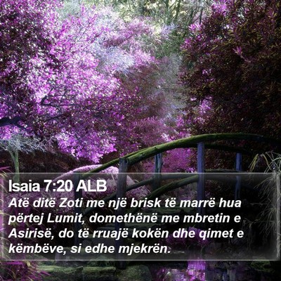 Isaia 7:20 ALB Bible Verse Image
