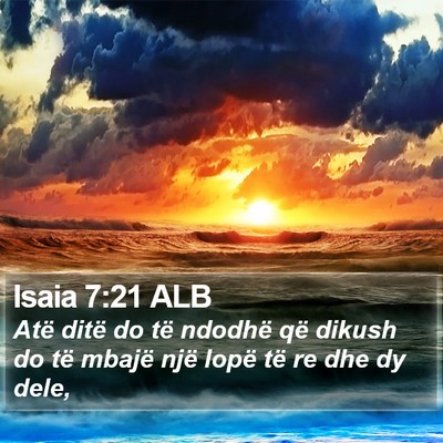 Isaia 7:21 ALB Bible Verse Image