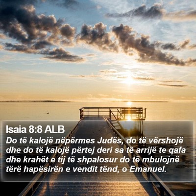 Isaia 8:8 ALB Bible Verse Image