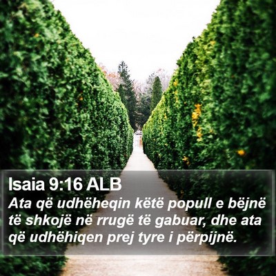 Isaia 9:16 ALB Bible Verse Image