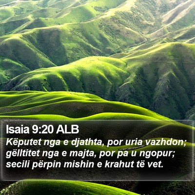 Isaia 9:20 ALB Bible Verse Image