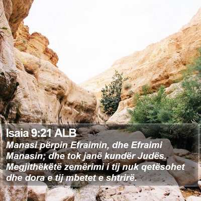 Isaia 9:21 ALB Bible Verse Image