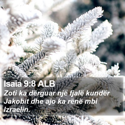 Isaia 9:8 ALB Bible Verse Image