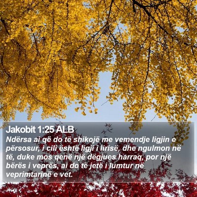 Jakobit 1:25 ALB Bible Verse Image