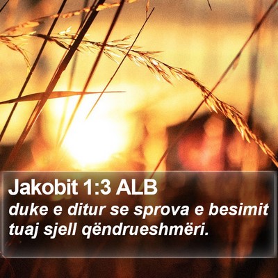 Jakobit 1:3 ALB Bible Verse Image