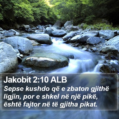 Jakobit 2:10 ALB Bible Verse Image