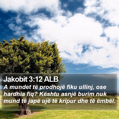Jakobit 3:12 ALB Bible Verse Image