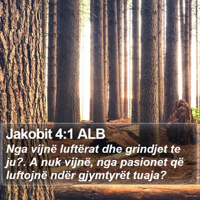 Jakobit 4:1 ALB Bible Verse Image