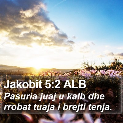 Jakobit 5:2 ALB Bible Verse Image