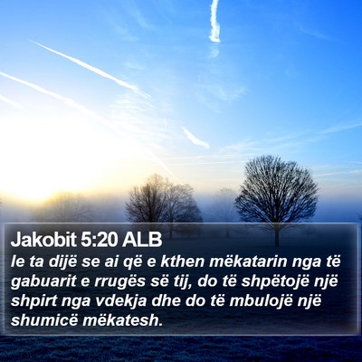 Jakobit 5:20 ALB Bible Verse Image