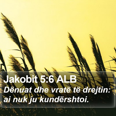 Jakobit 5:6 ALB Bible Verse Image