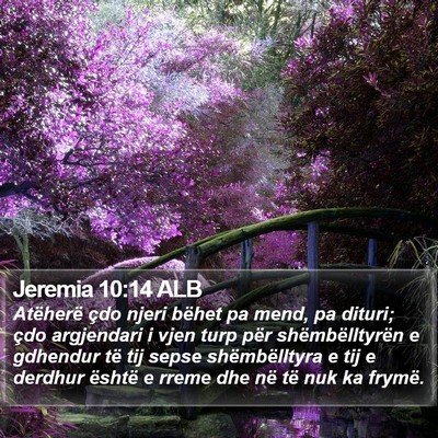 Jeremia 10:14 ALB Bible Verse Image