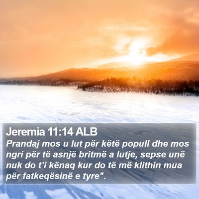 Jeremia 11:14 ALB Bible Verse Image