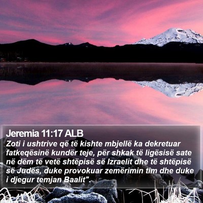 Jeremia 11:17 ALB Bible Verse Image