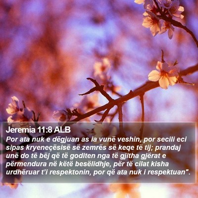Jeremia 11:8 ALB Bible Verse Image