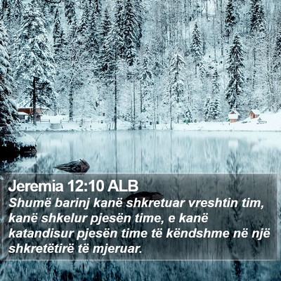 Jeremia 12:10 ALB Bible Verse Image