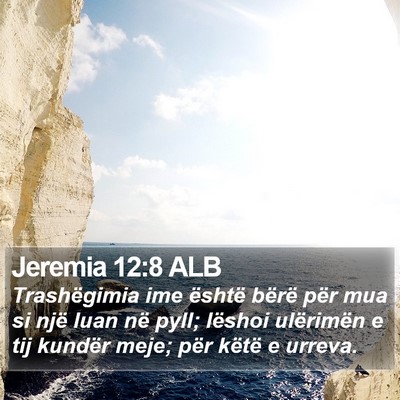 Jeremia 12:8 ALB Bible Verse Image