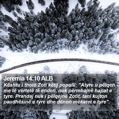 Jeremia 14:10 ALB Bible Verse Image