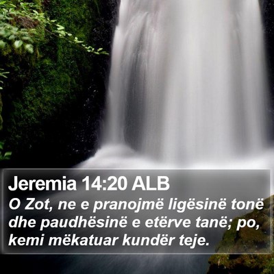 Jeremia 14:20 ALB Bible Verse Image