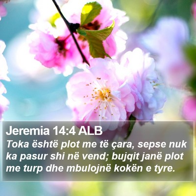 Jeremia 14:4 ALB Bible Verse Image