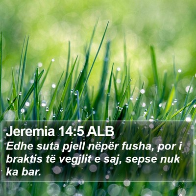 Jeremia 14:5 ALB Bible Verse Image