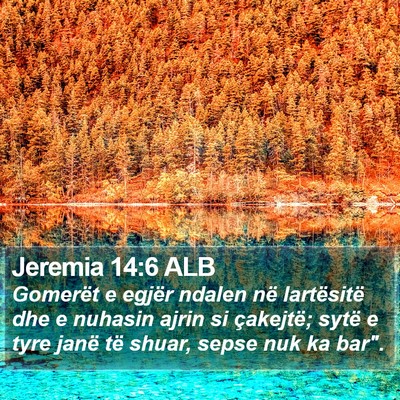 Jeremia 14:6 ALB Bible Verse Image