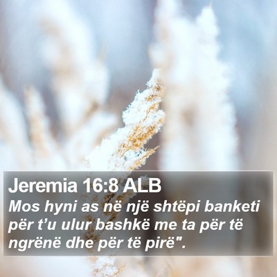 Jeremia 16:8 ALB Bible Verse Image