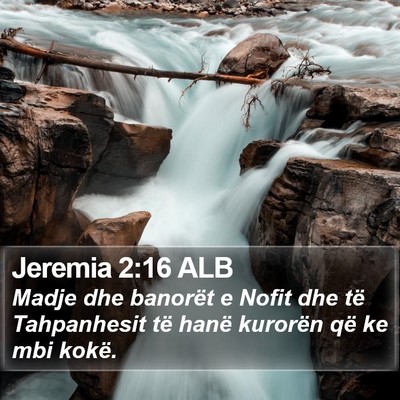 Jeremia 2:16 ALB Bible Verse Image
