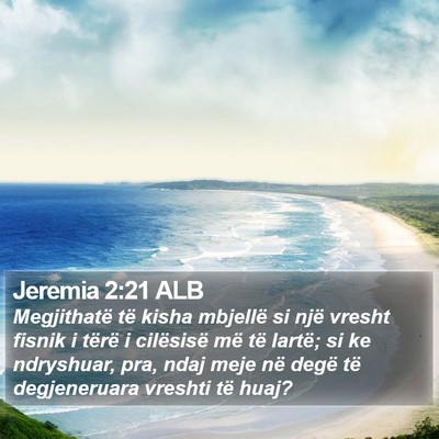 Jeremia 2:21 ALB Bible Verse Image