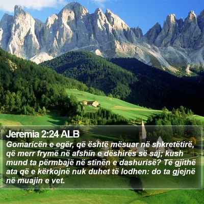 Jeremia 2:24 ALB Bible Verse Image